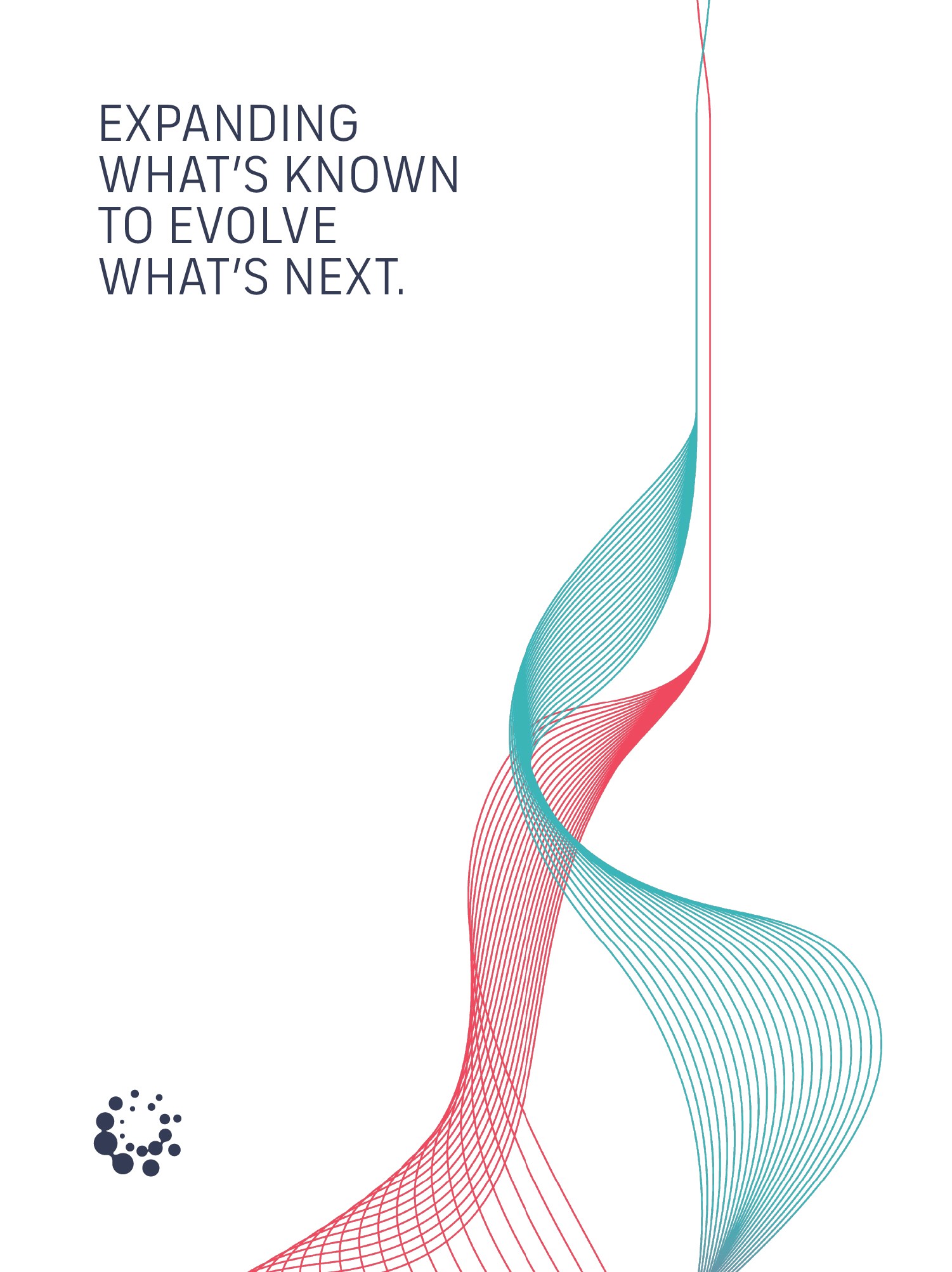 Dom Pérignon vineyards from the sky