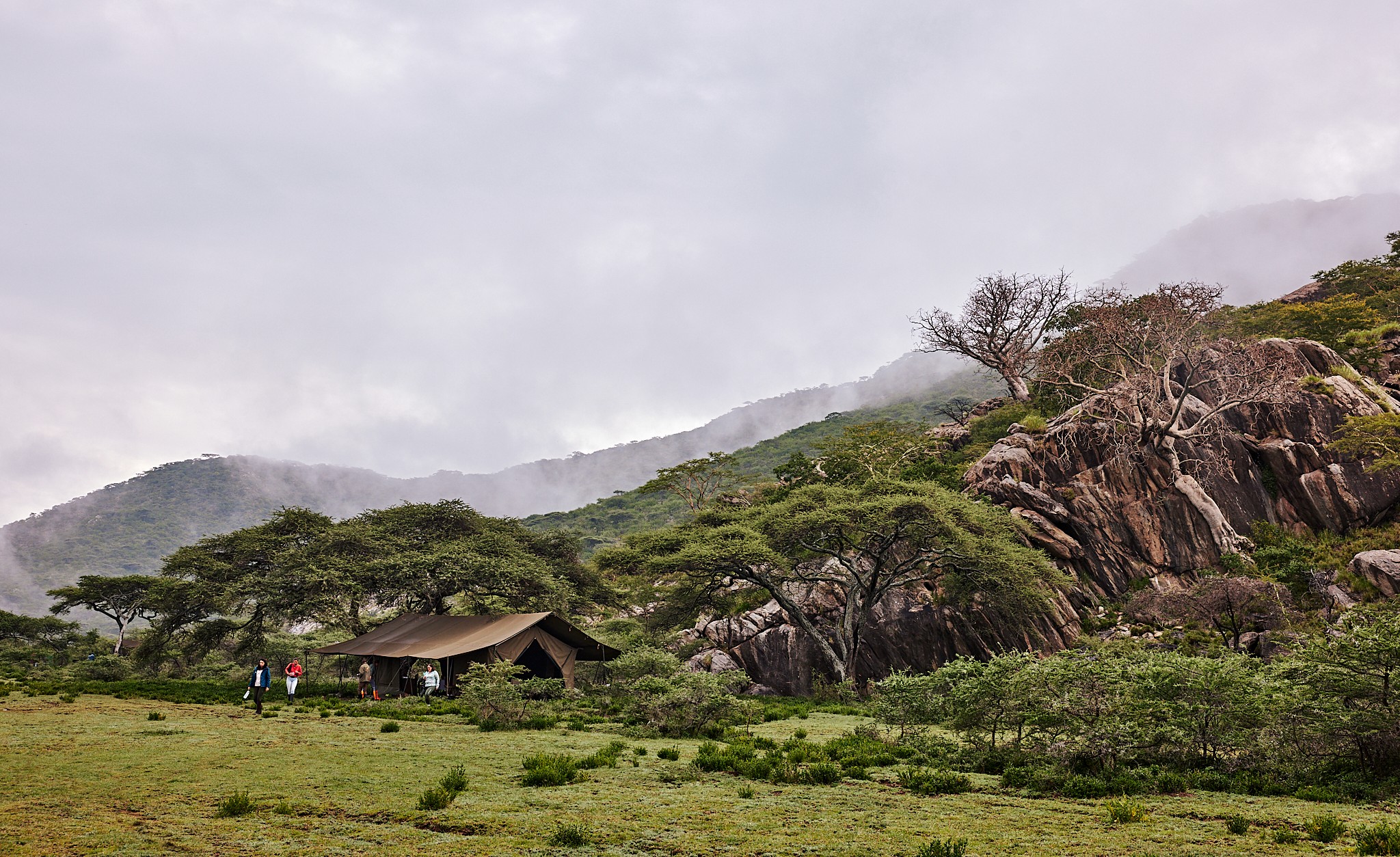 Grupp av ryttare på ridresa i Afrika galopperar över Serengetis vidsträckta slätter medan damm och gnuhjordar rör sig över horisonten under the great migration.