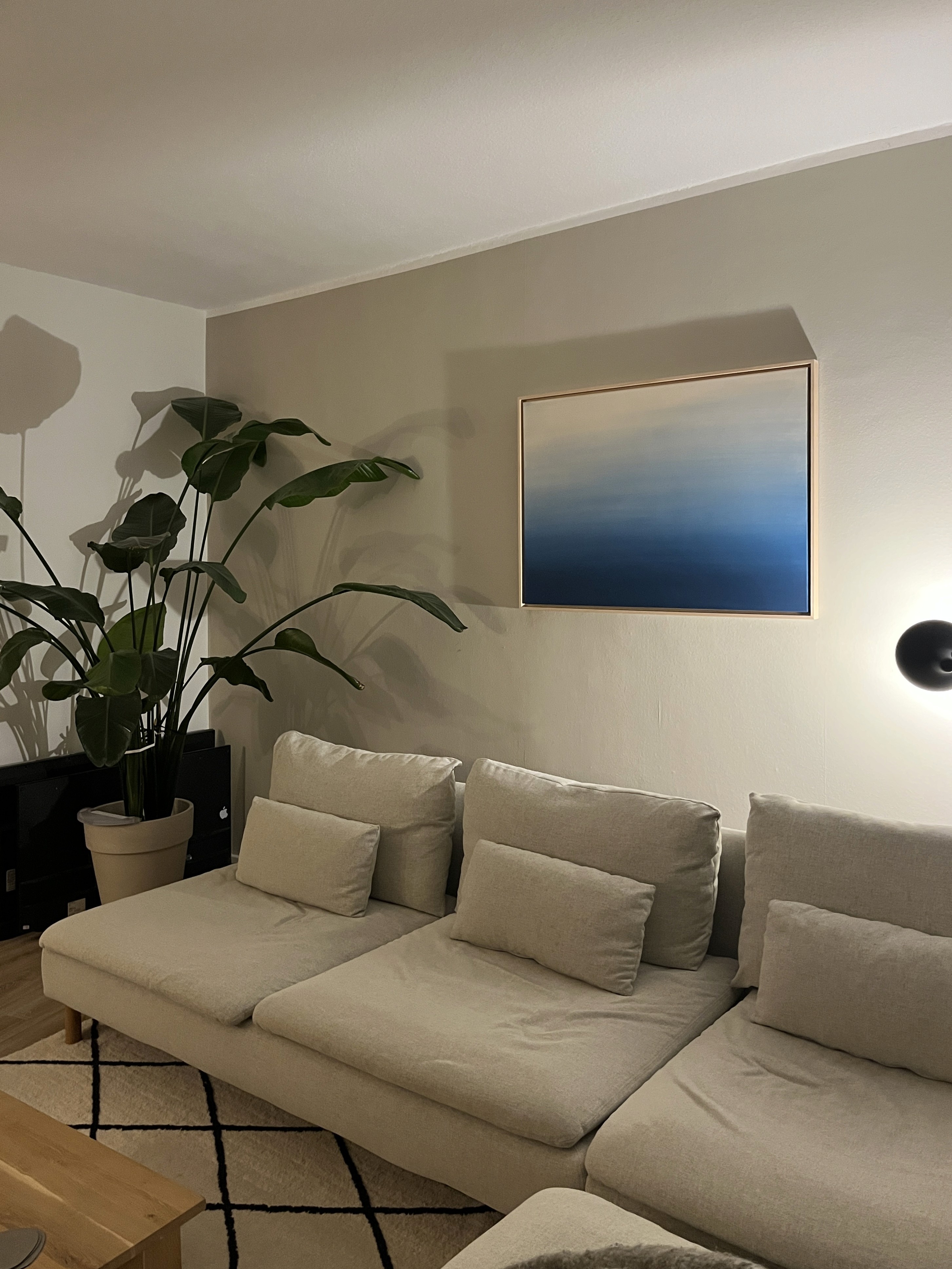 bluehaze roomview