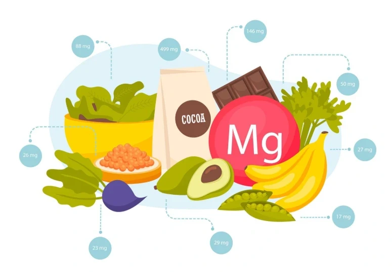 Illustration of magnesium-rich foods including leafy greens, cocoa, dark chocolate, avocado, bananas, green peas, and legumes surrounding a magnesium (Mg) symbol