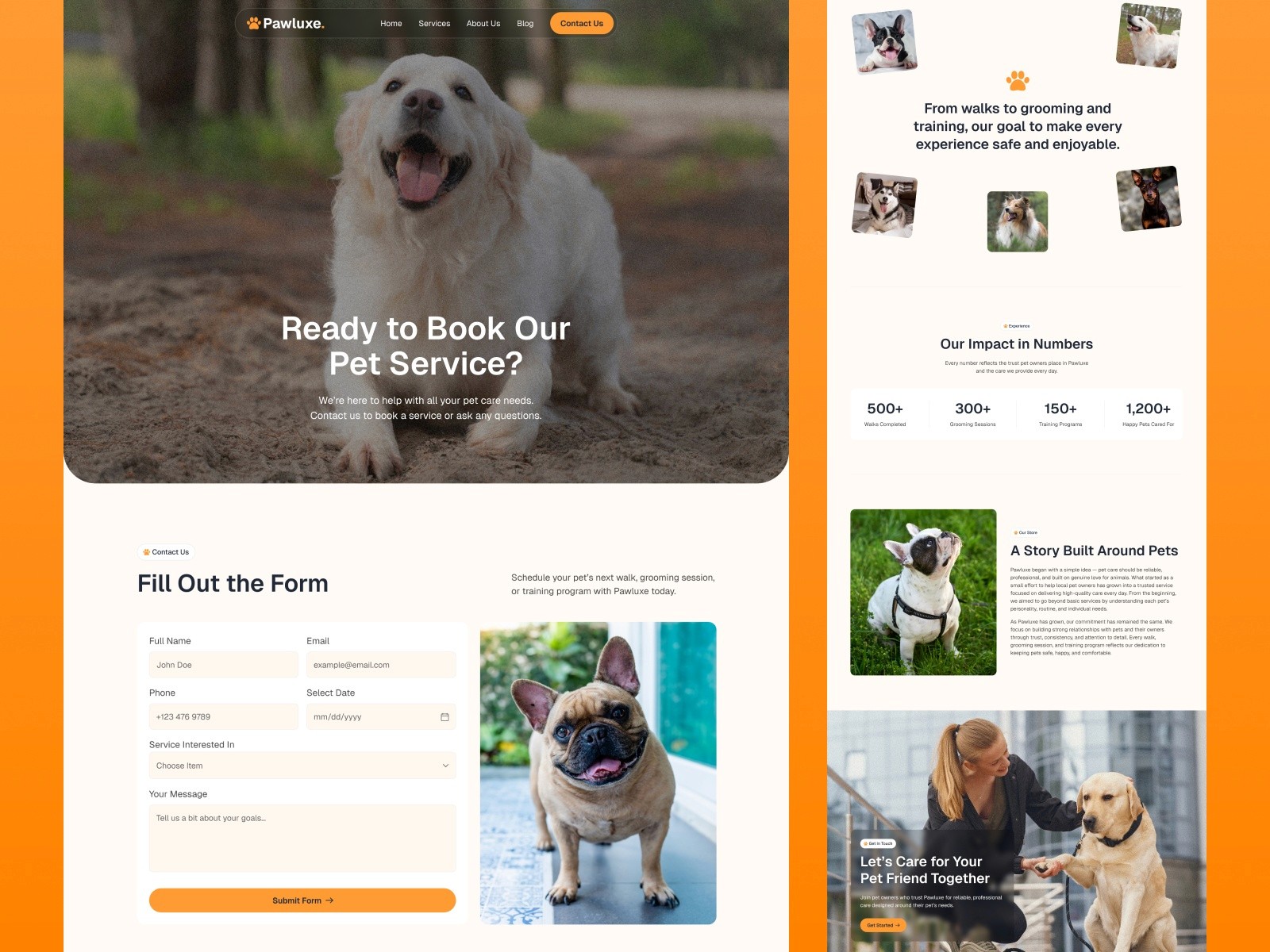 Pawluxe — 现代专业企业服务官网设计灵感