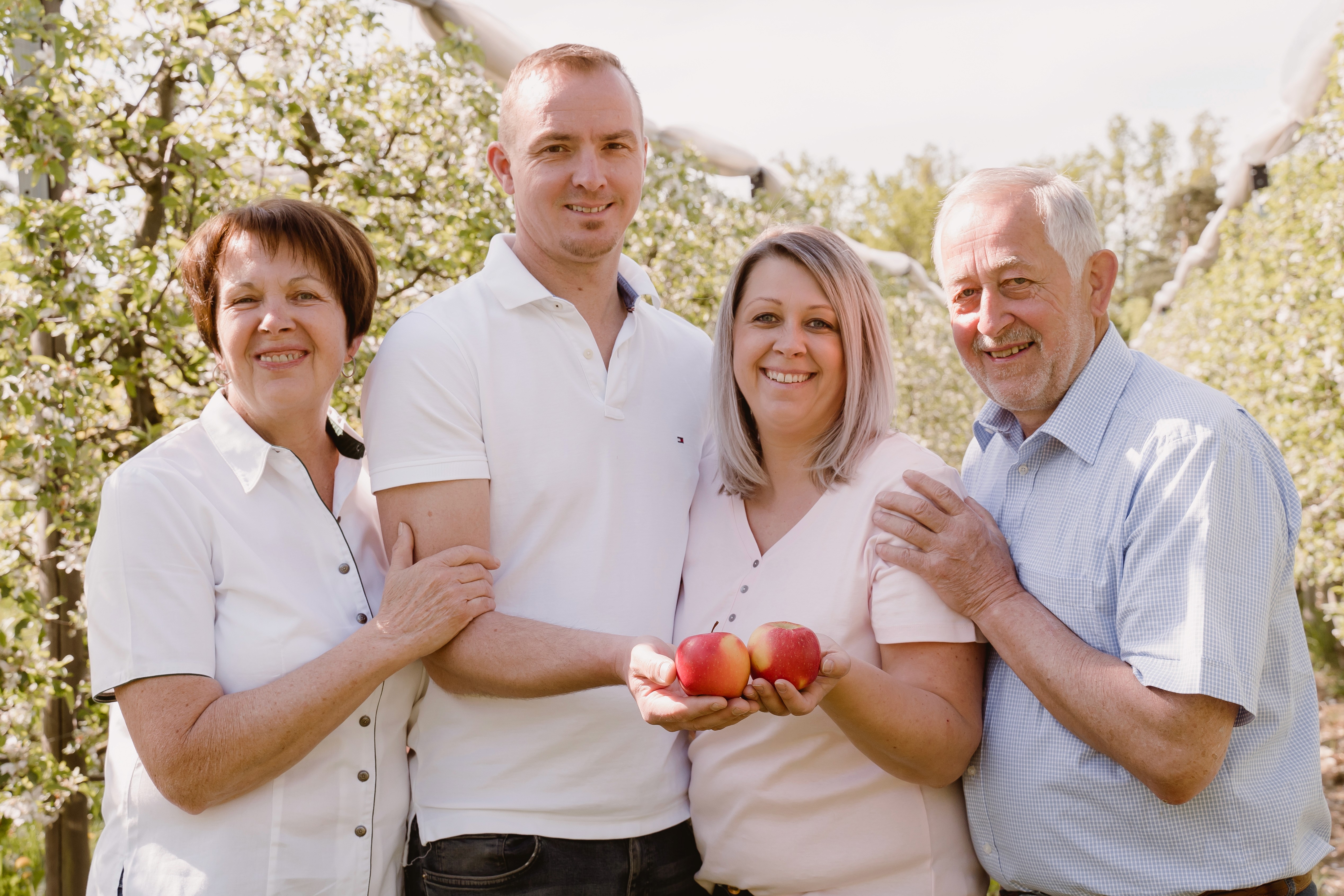 Sunlit field of wildflowers and grasses blooming