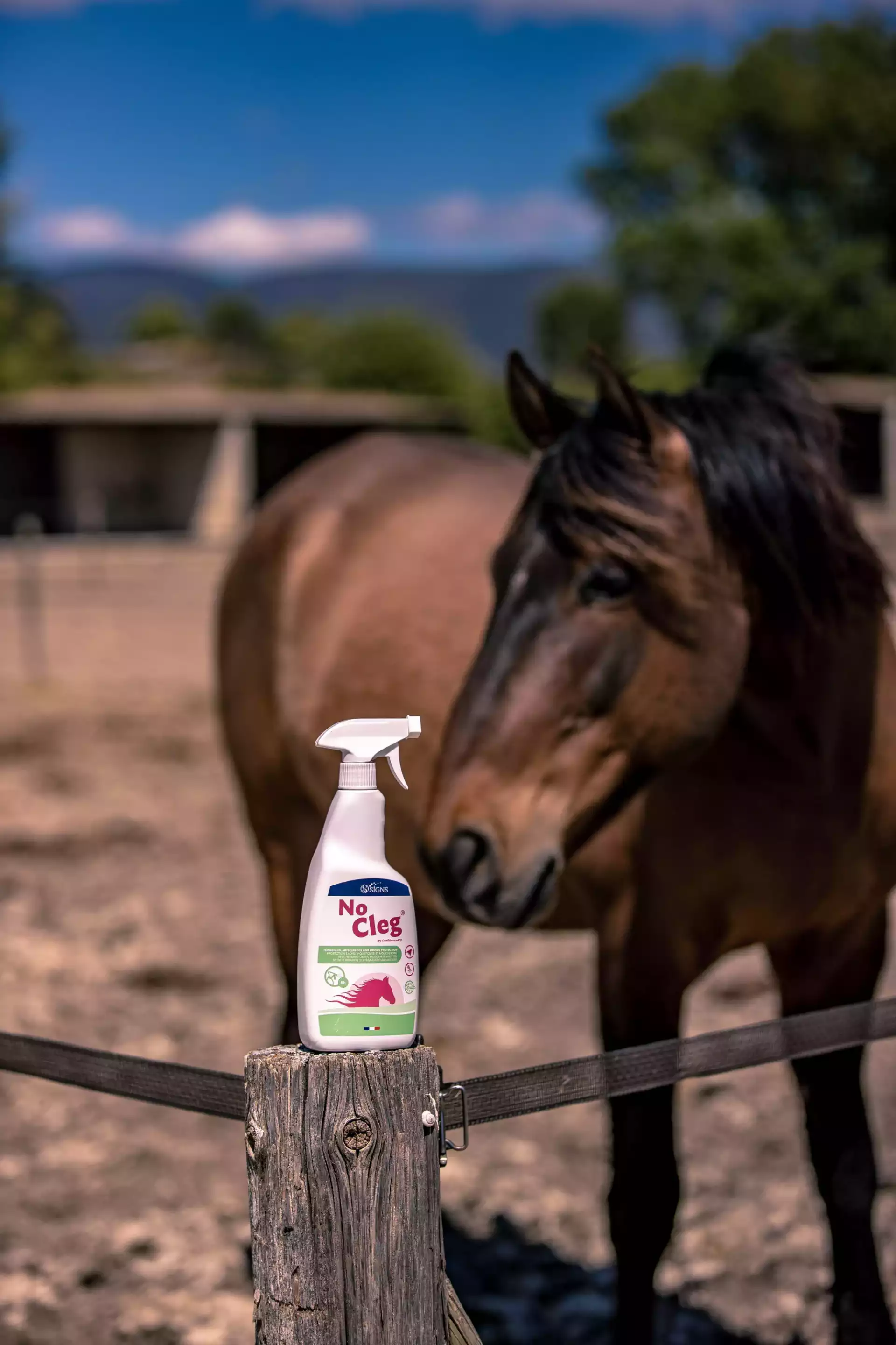 Direction artistique et conseil pour Signs, par Coralie De Almeida