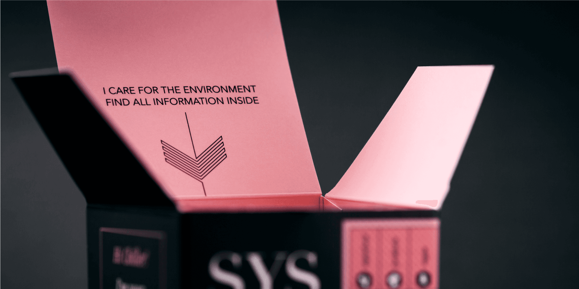SYS Brand World – hair care packaging with a black outer box and pink interior, featuring the message "I care for the environment".