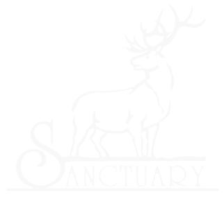 Sanctuary Logo