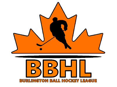 A TeamLinkt Sports League Partner Logo
