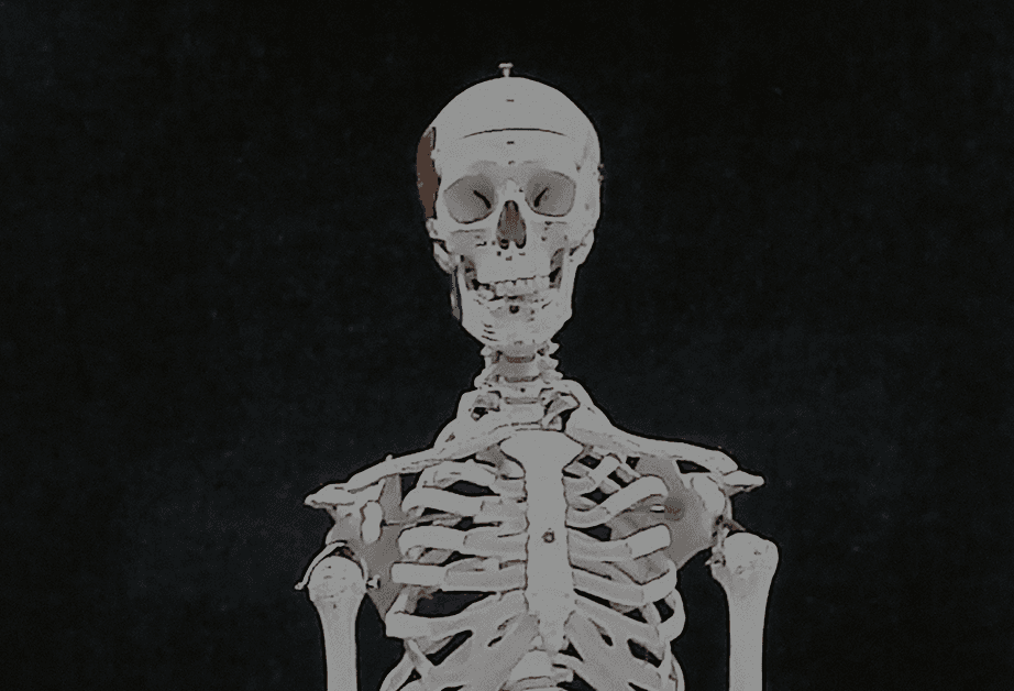 A white anatomical skeleton is centered against a solid black background. The skeleton is viewed from the front, displaying the skull, rib cage, spine, and shoulder bones. The skull is positioned centrally and appears complete with eye sockets and a nasal cavity. The rib cage is visible with ribs extending from the sternum. The background is uniformly black, providing a stark contrast to the white skeleton. No other objects or text are present in the image.