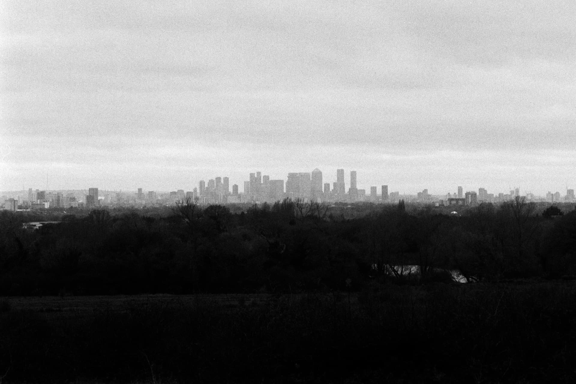 London skyline with Canary Wharf and City towers viewed across wooded suburbs and fields