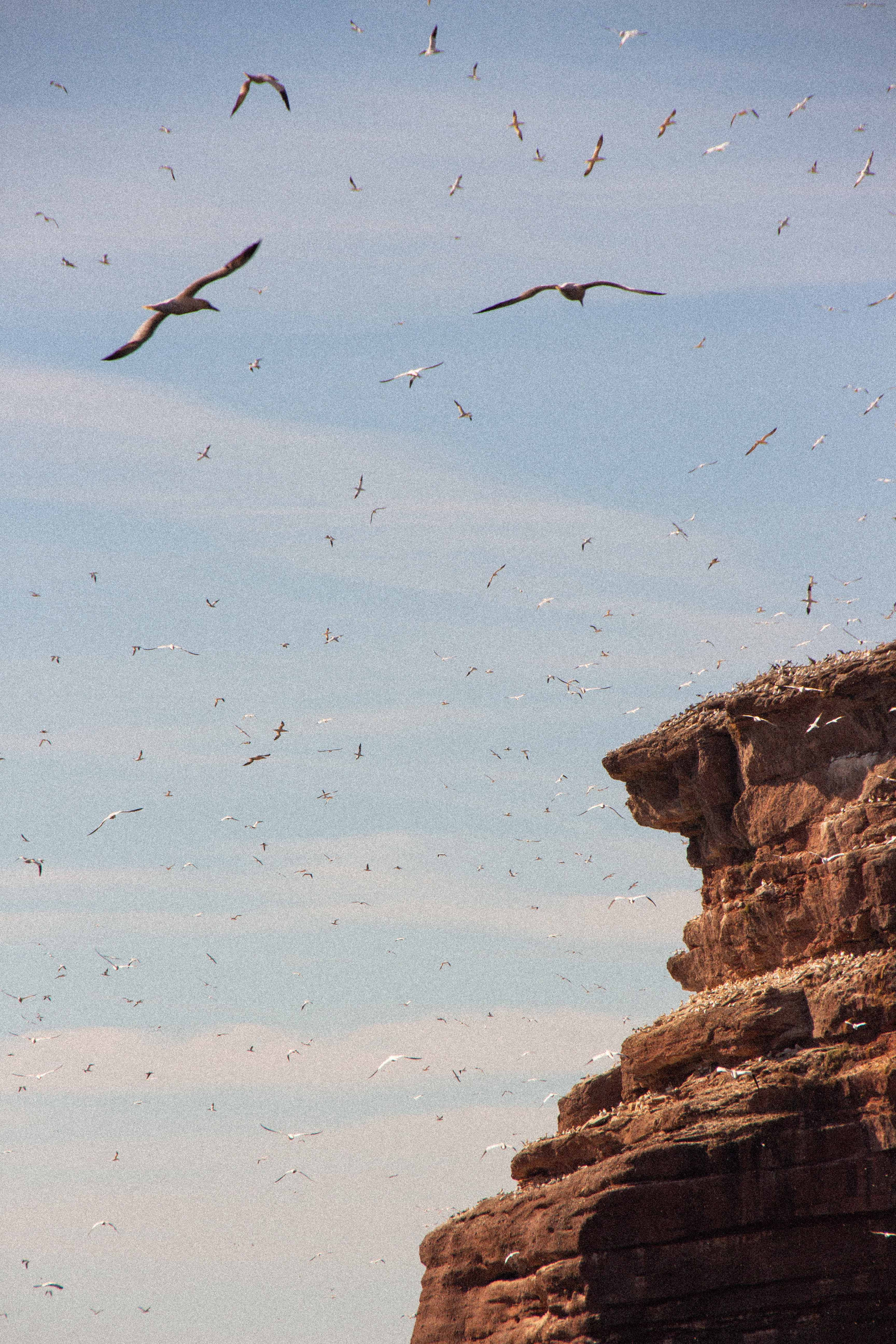 A studio space showcasing large window and contemporary design elements