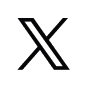 X Social Media Icon