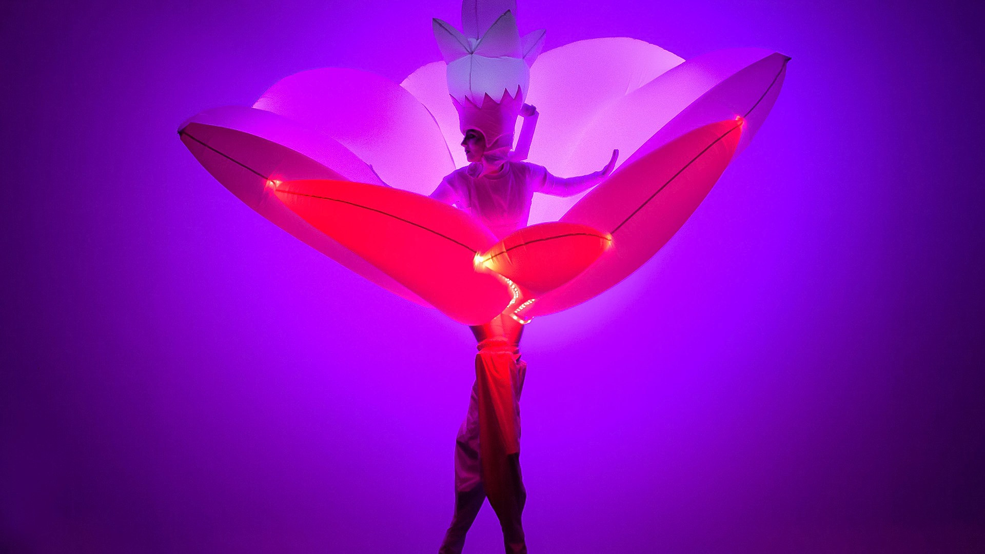 Imago Caeli - augmented interactive performance installation