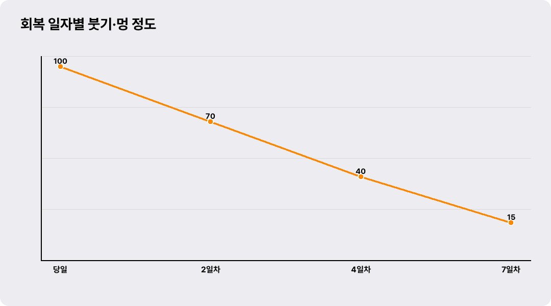 회복 일자별 붓기·멍 정도