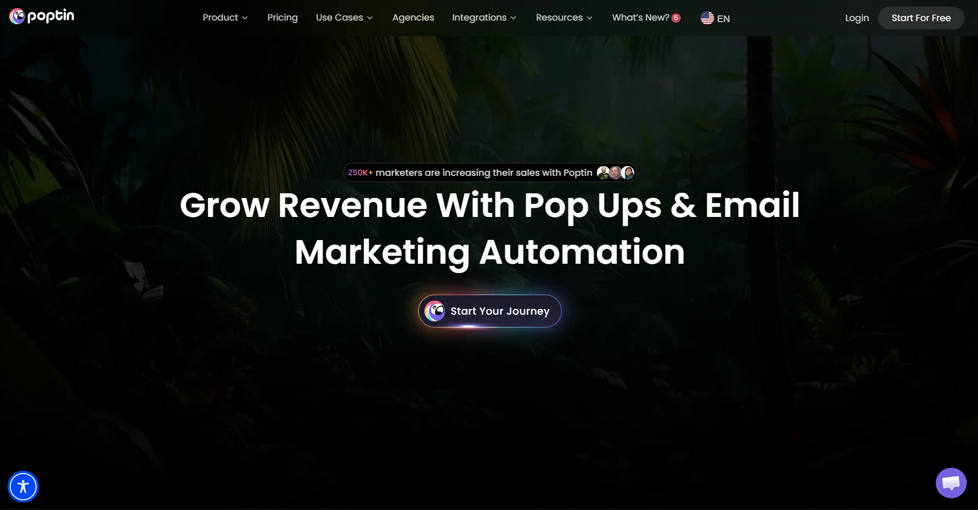 Poptin homepage hero section set on a black background featuring the headline “Grow Revenue With Pop Ups & Email Marketing Automation”.