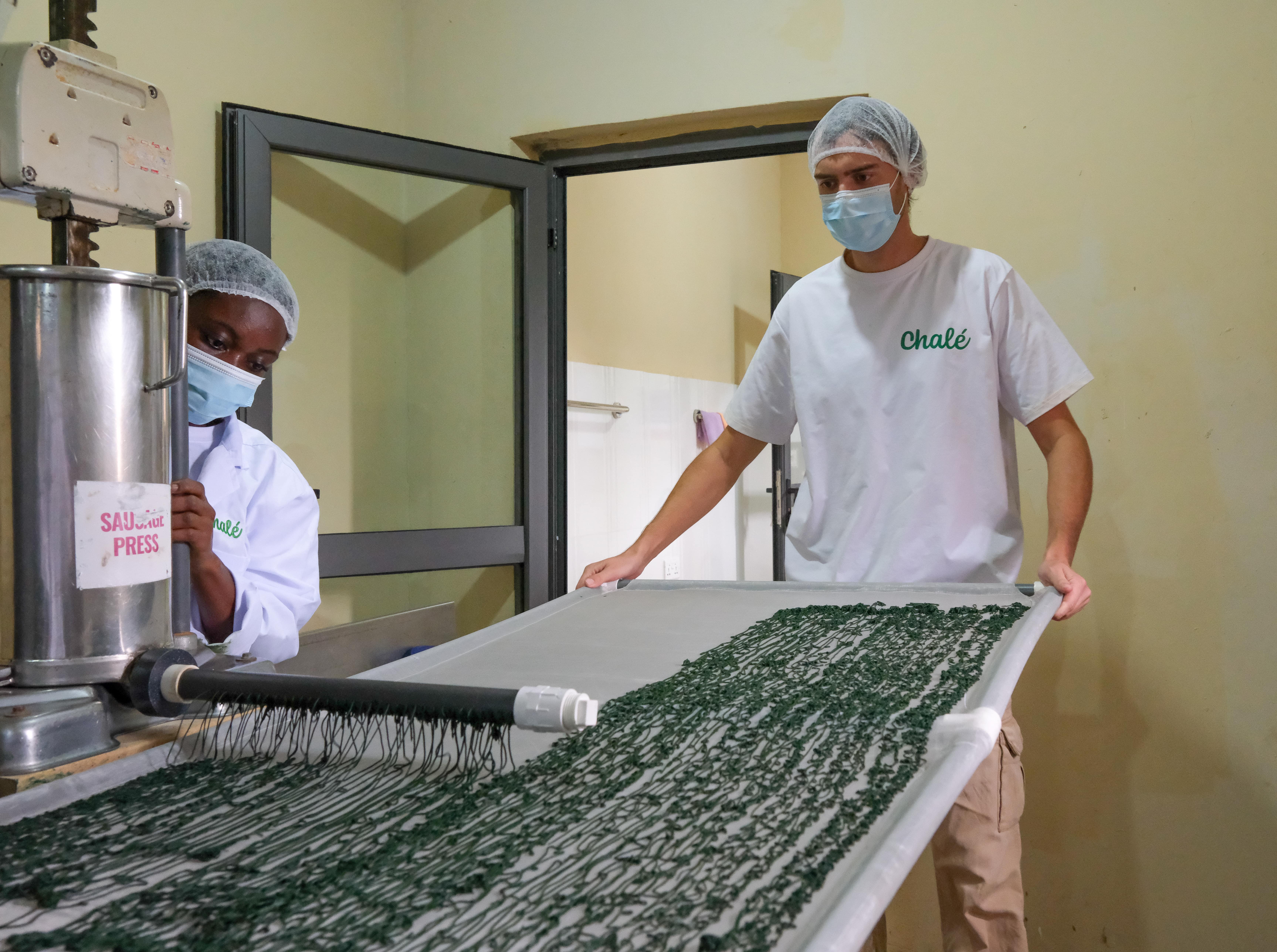 Processing our spirulina