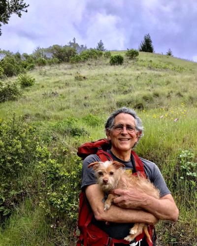 Harold Hedelman