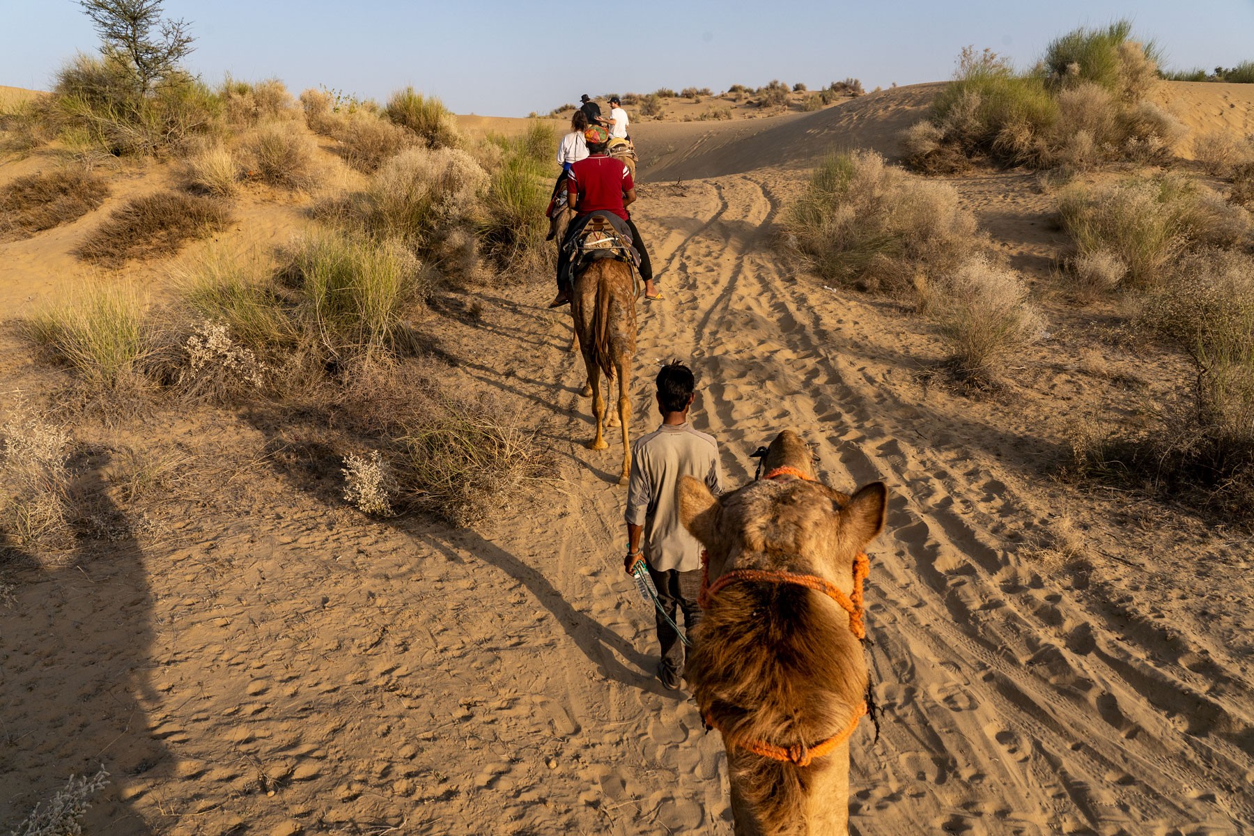 Riding a camel in the desert in Rajasthan, in India