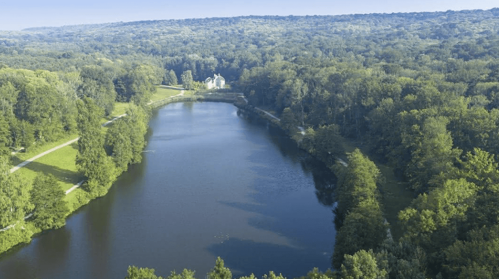 photo de la forêt de Montmorency proche de Montigny-lès-Cormeilles