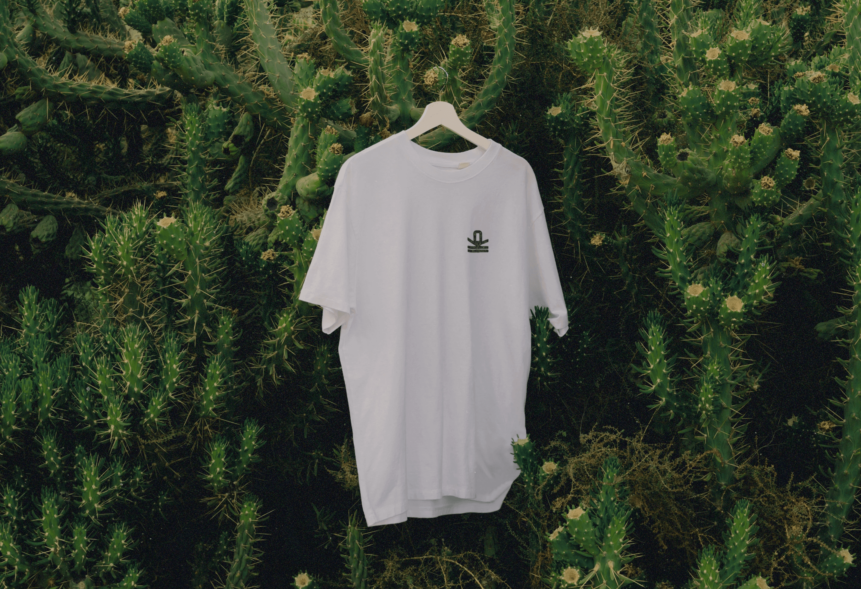 Logo design on a shirt