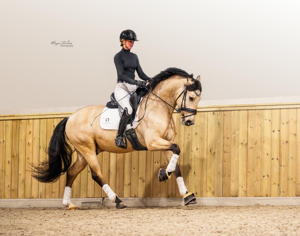 Crossbred by Secret 