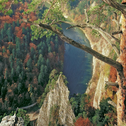 多瑙河流域景观