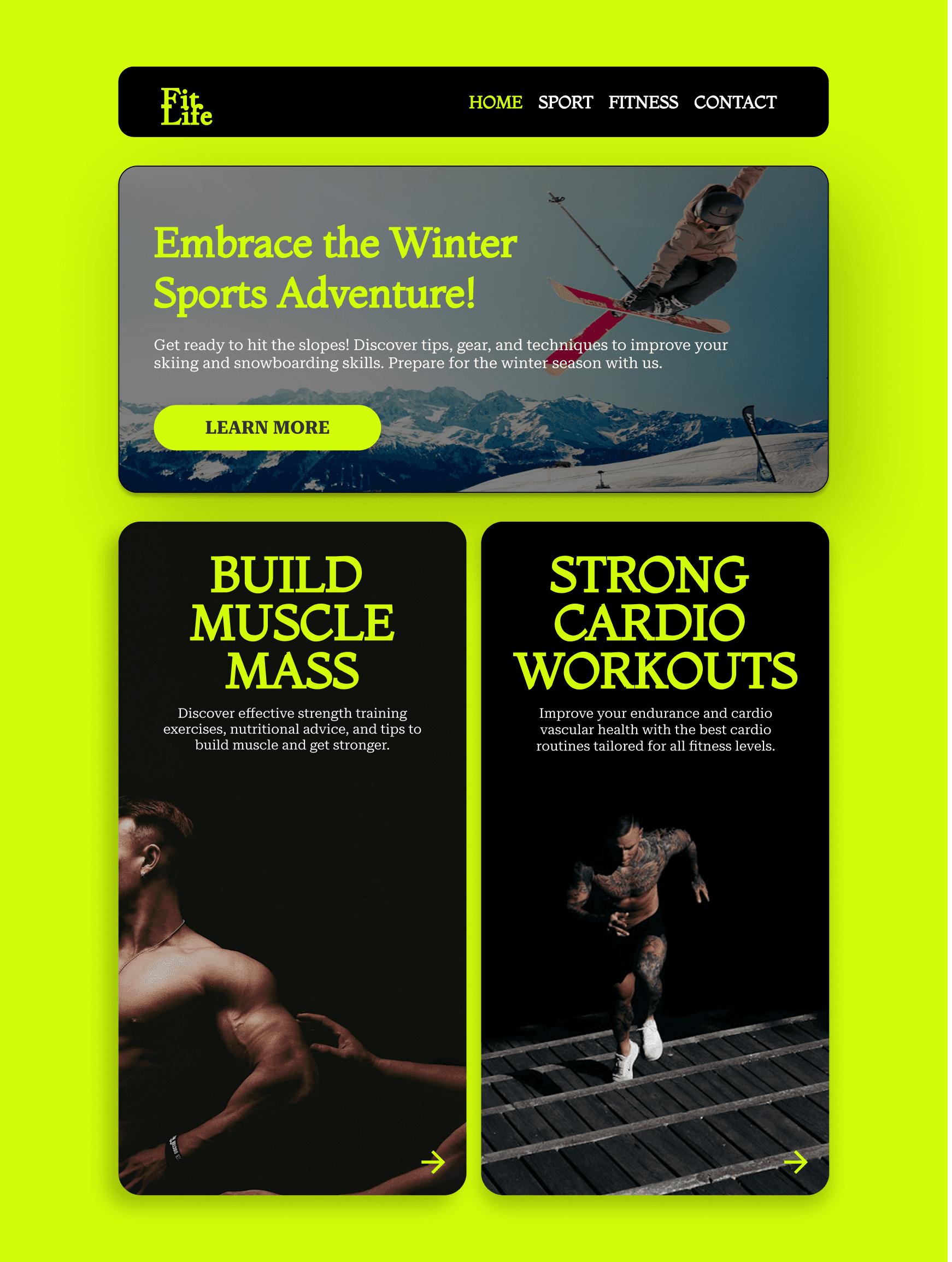 dark green leaves of coniferous plants