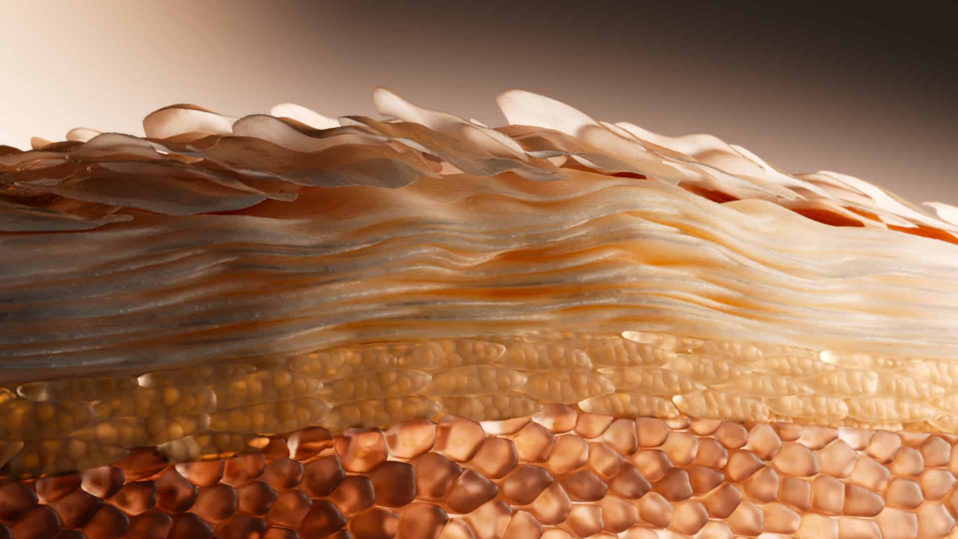 Mainframe medical work skin absorbsionMOA sequence in a photorealistic molecular style for pharma campaigns.