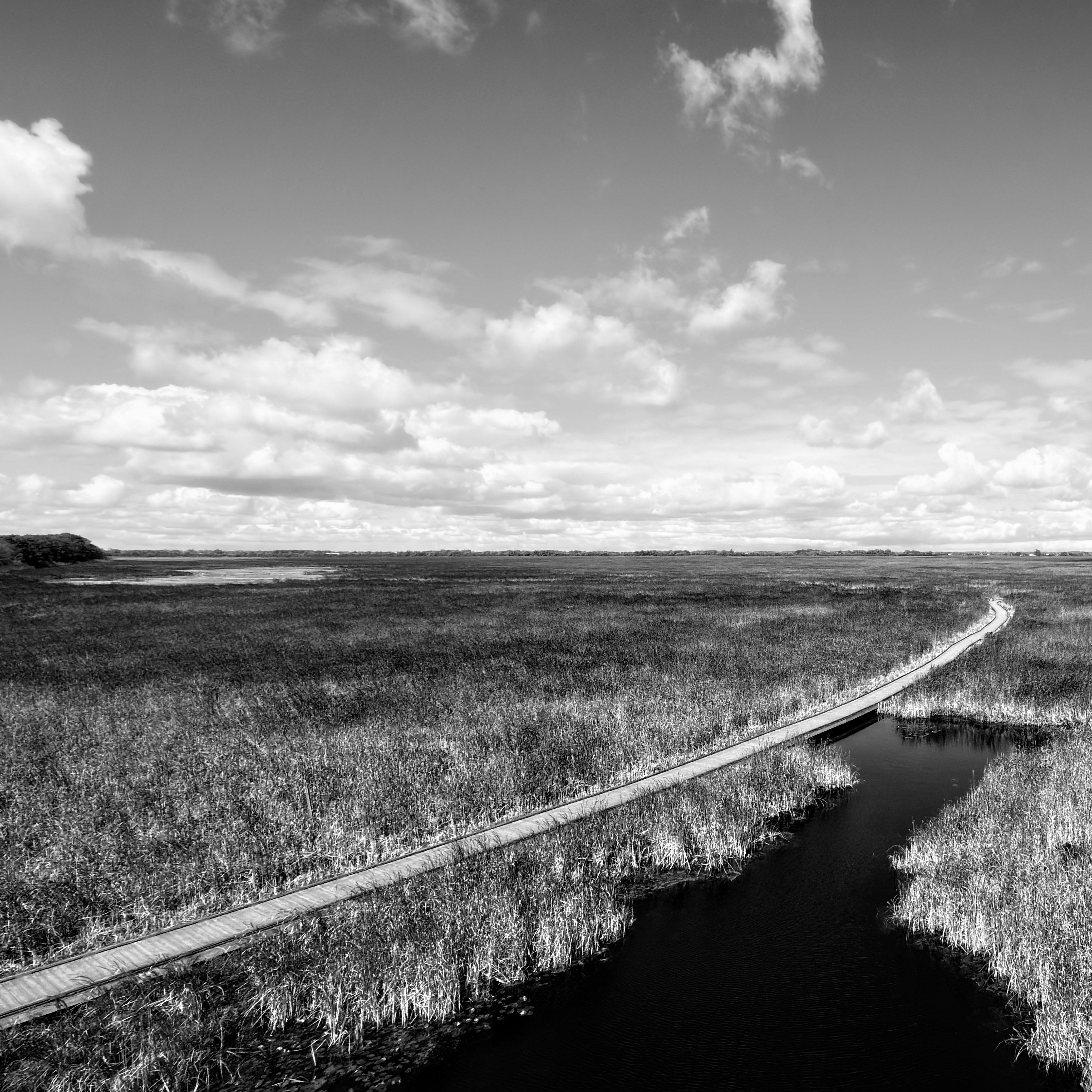 Point Pelee National Park