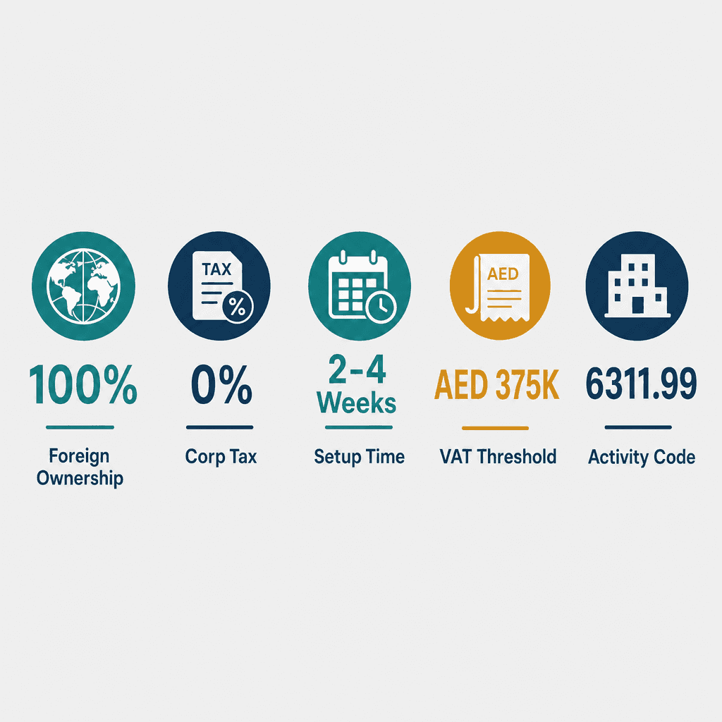 Infographic: How to Get a IT Infrastructure Business License in Dubai