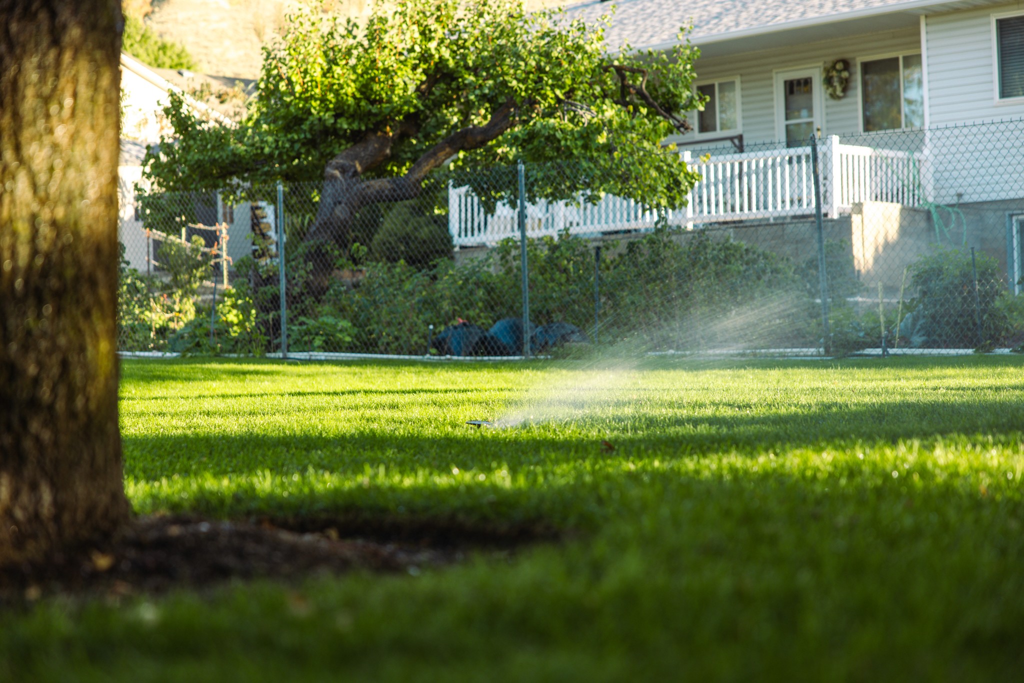 Utah xeriscape with efficient irrigation system
