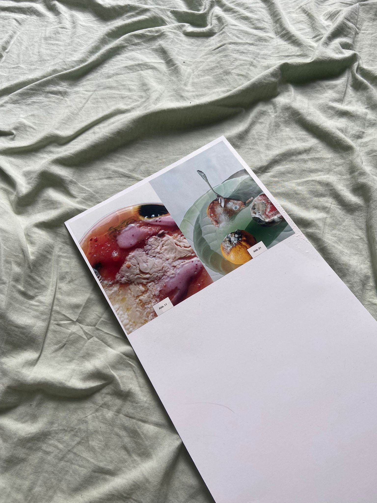 Book Layout
