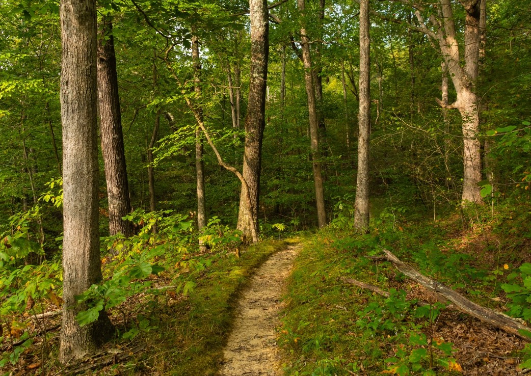 hiking