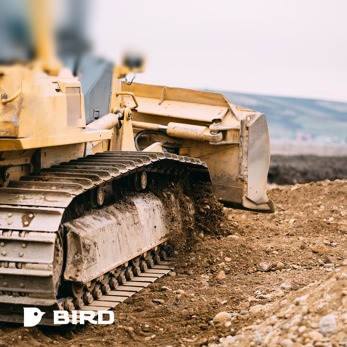 Bird context imagery on app design made by Gneis