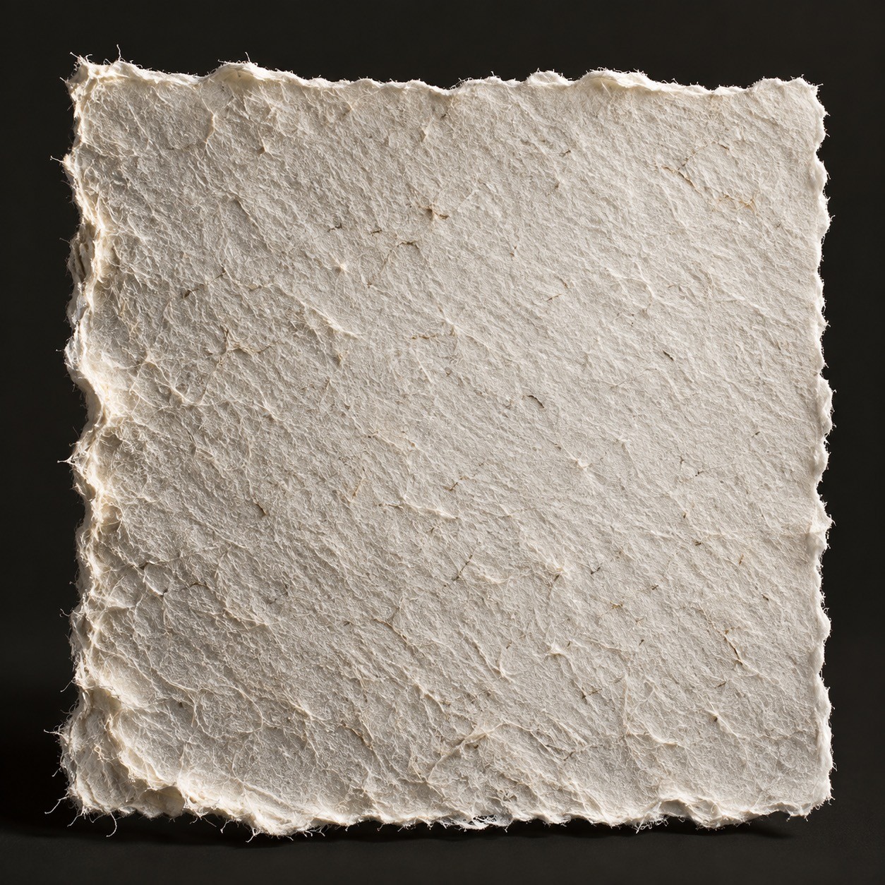 Macro of a handmade paper deckle edge under raking light