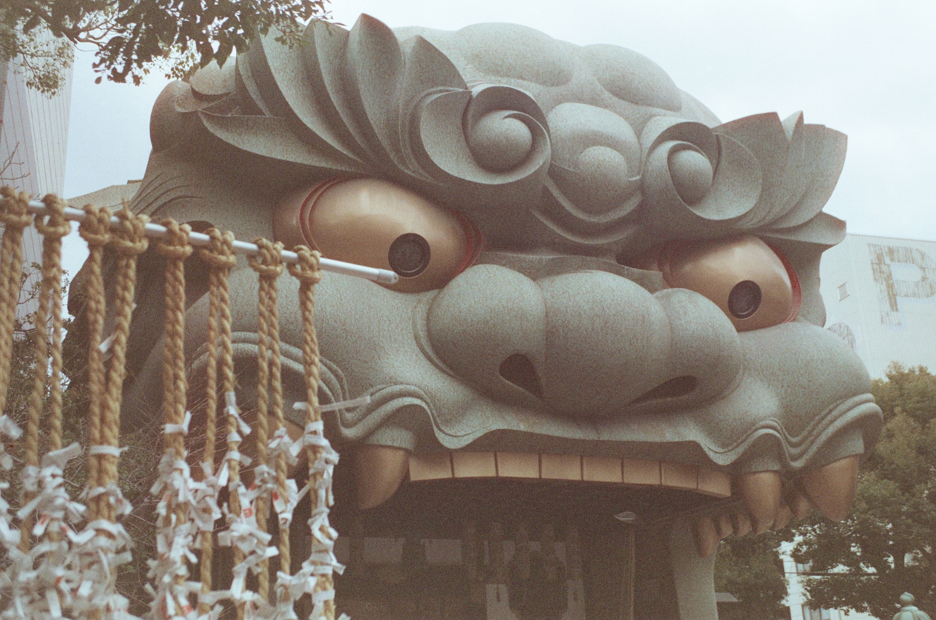 Argentique, canon, Korea, temple, nature, meditation 