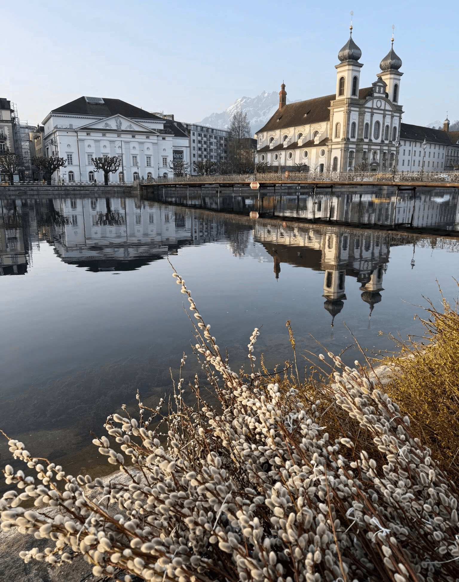 Ausblick von unserem Standort am Luzerner Wochenmarkt 