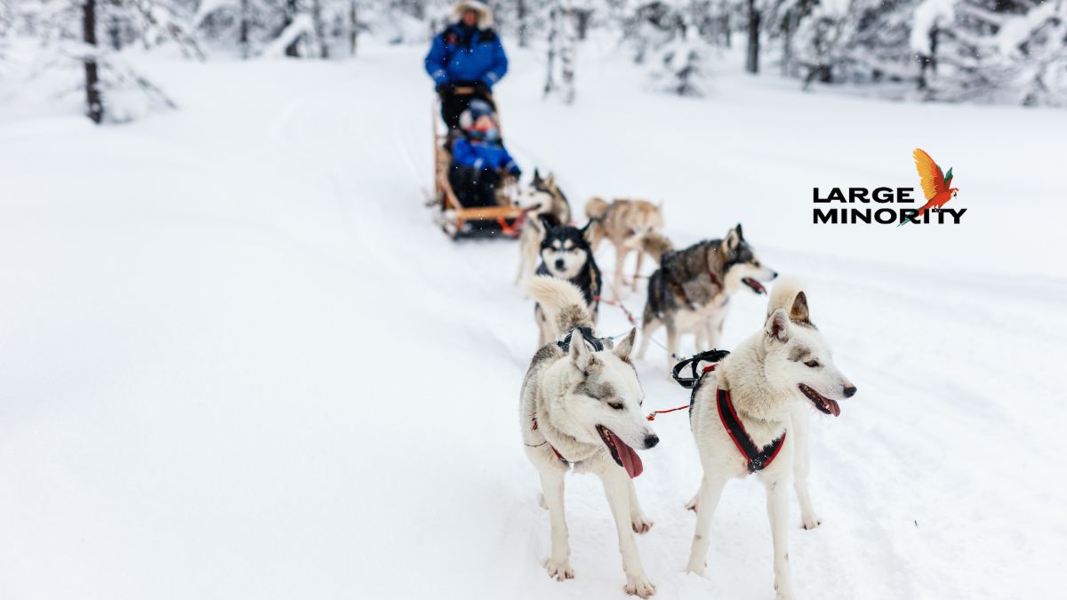 How to Get Around Finland in the Snow