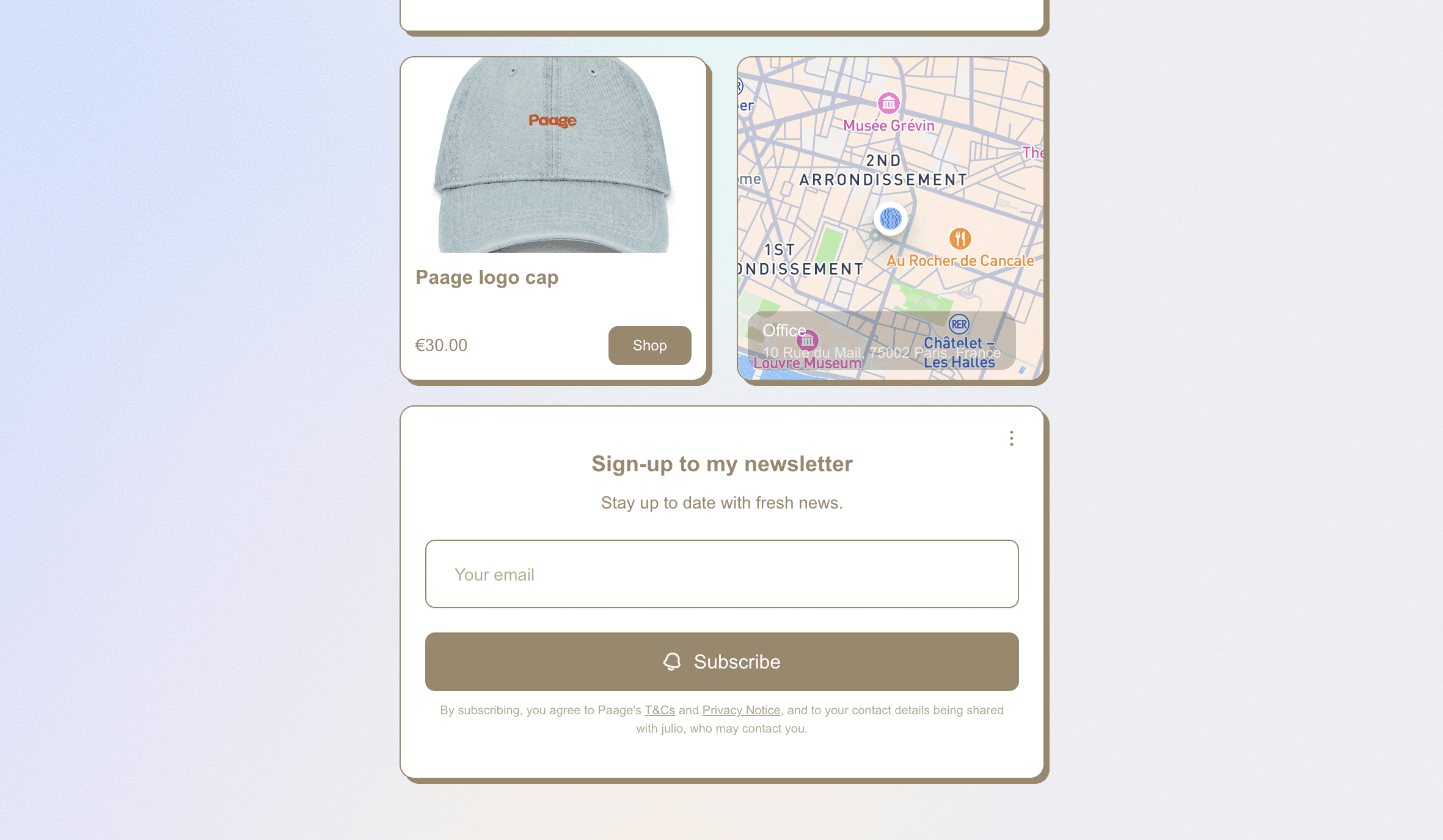 Paage email audience management screen showing subscriber list and email campaigns
