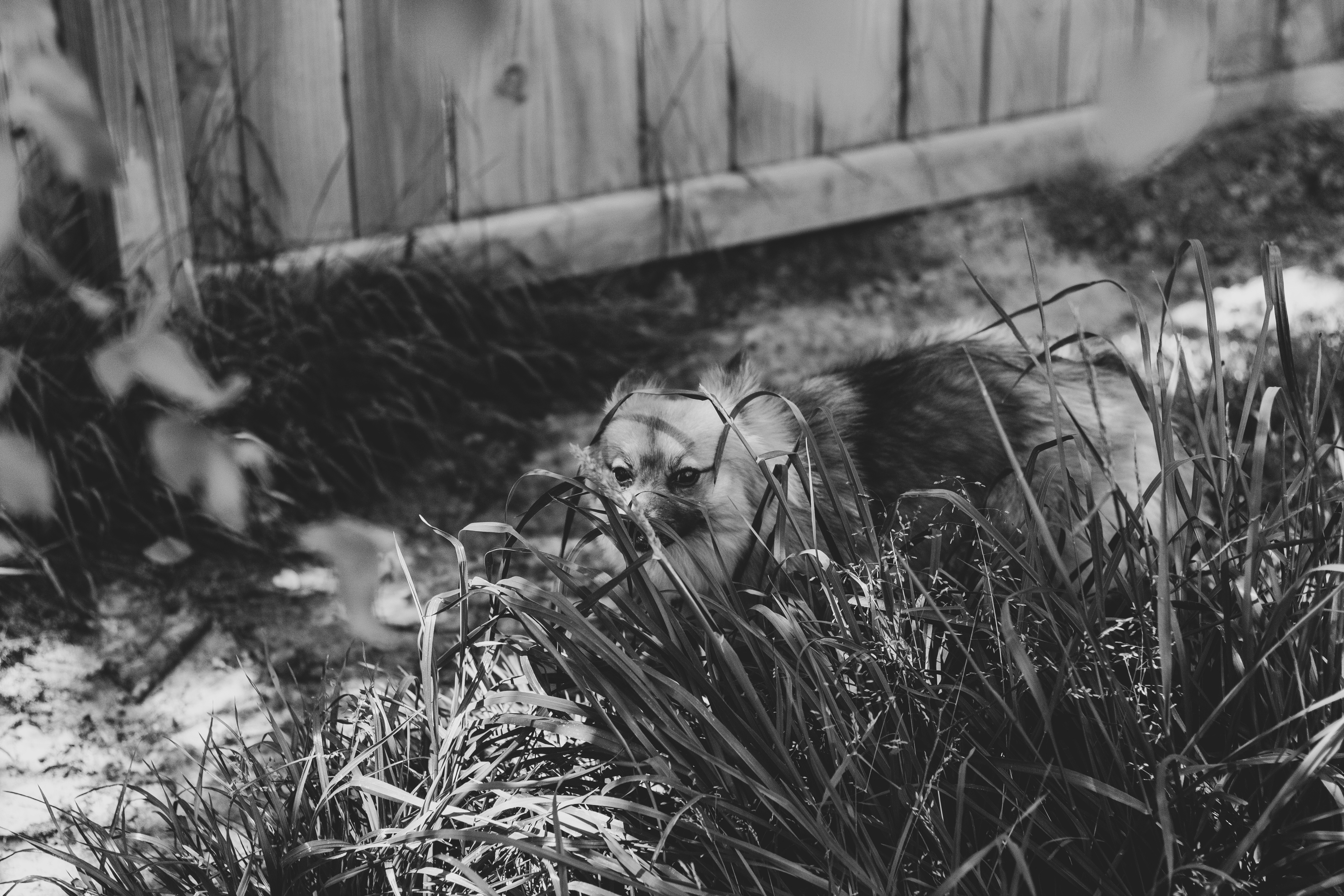 low angle photography of building