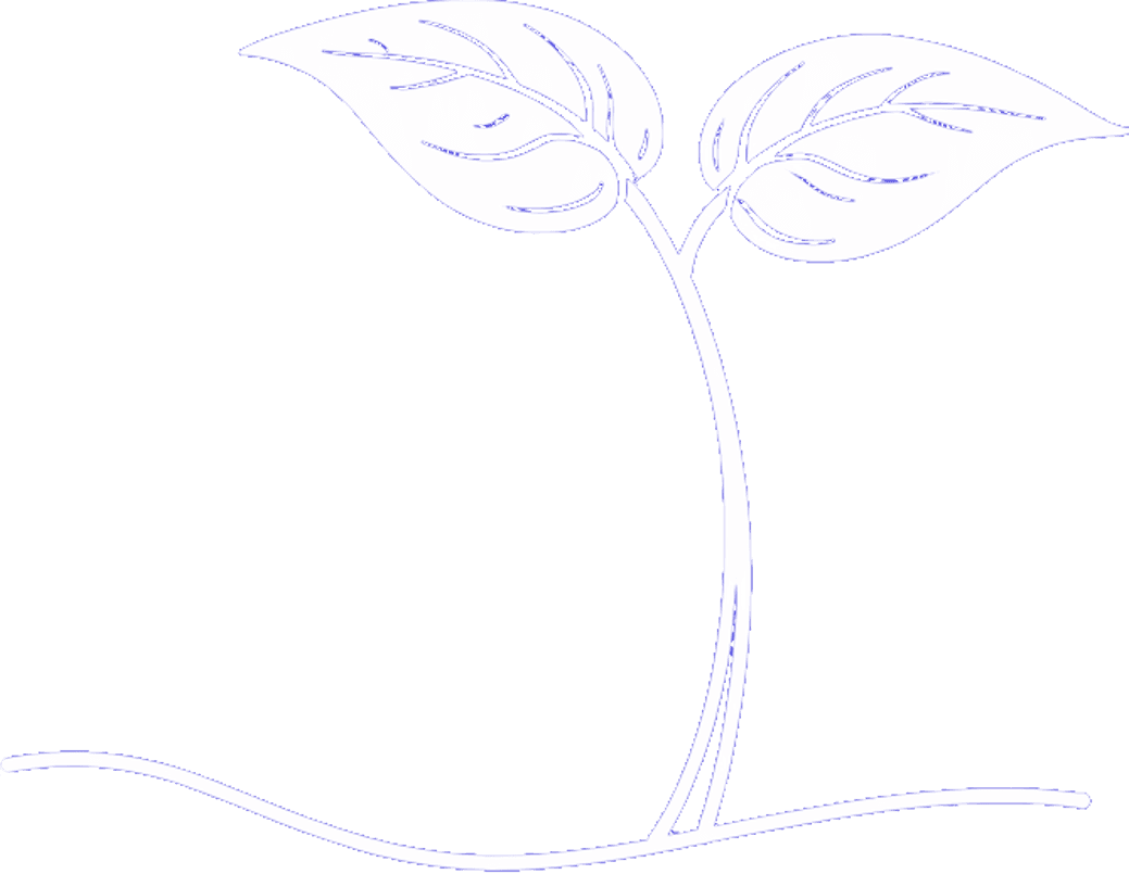 Image of a seedling
