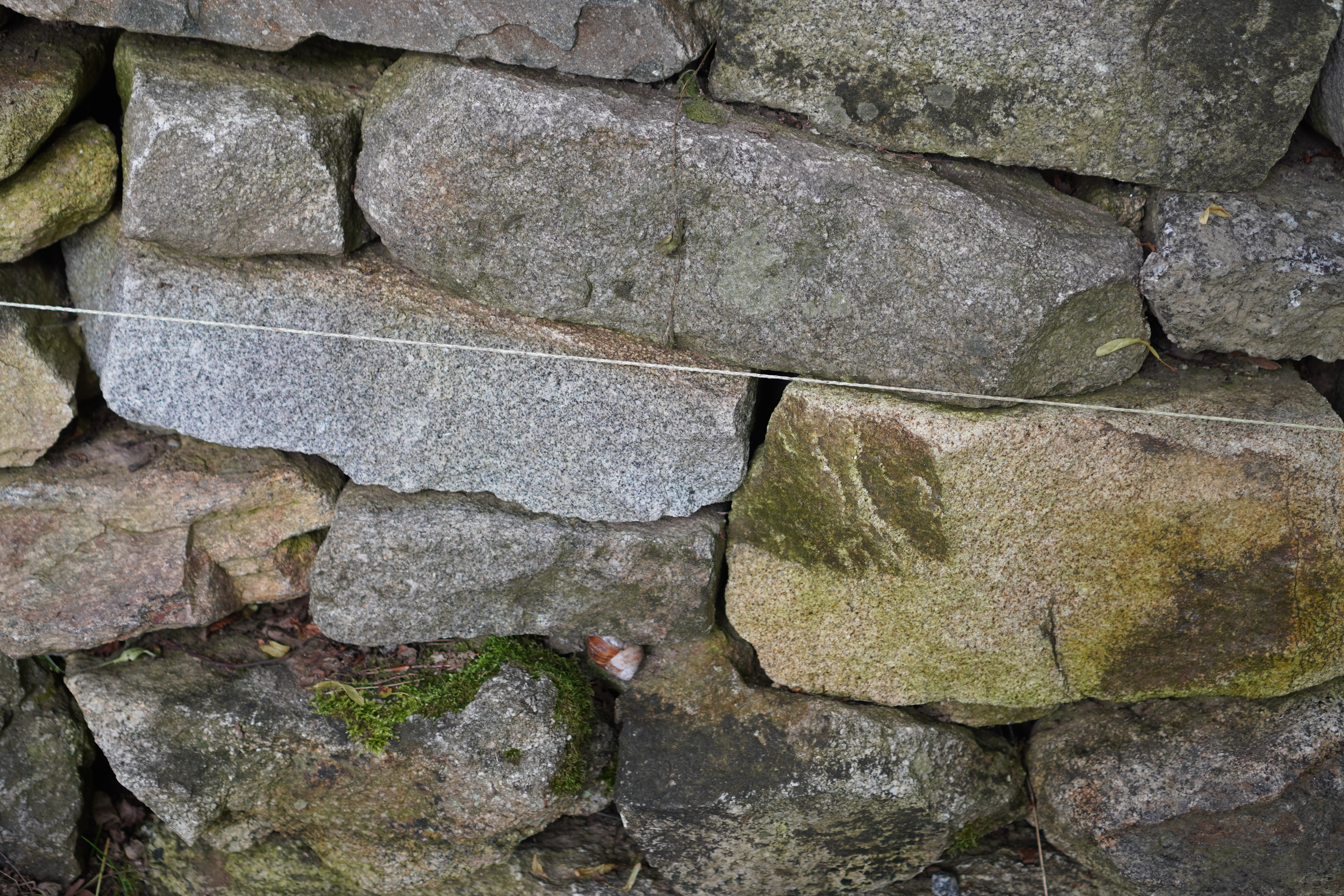 Profilbild Lagerfuge