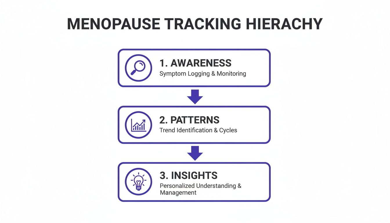 Menopause tracking hierarchy diagram showing steps: Awareness (symptom logging), Patterns (trend identification), and Insights (personalized understanding).