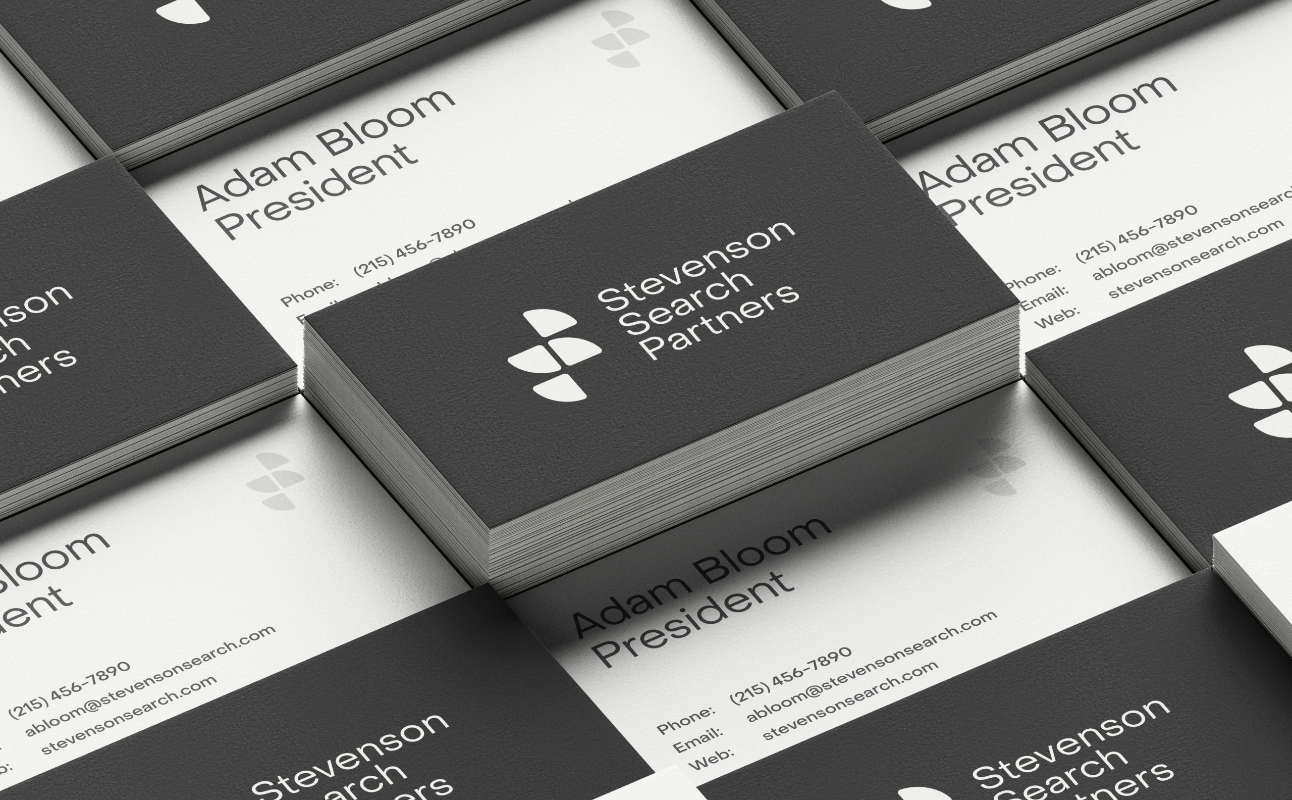 Stevenson Search Partners business cards