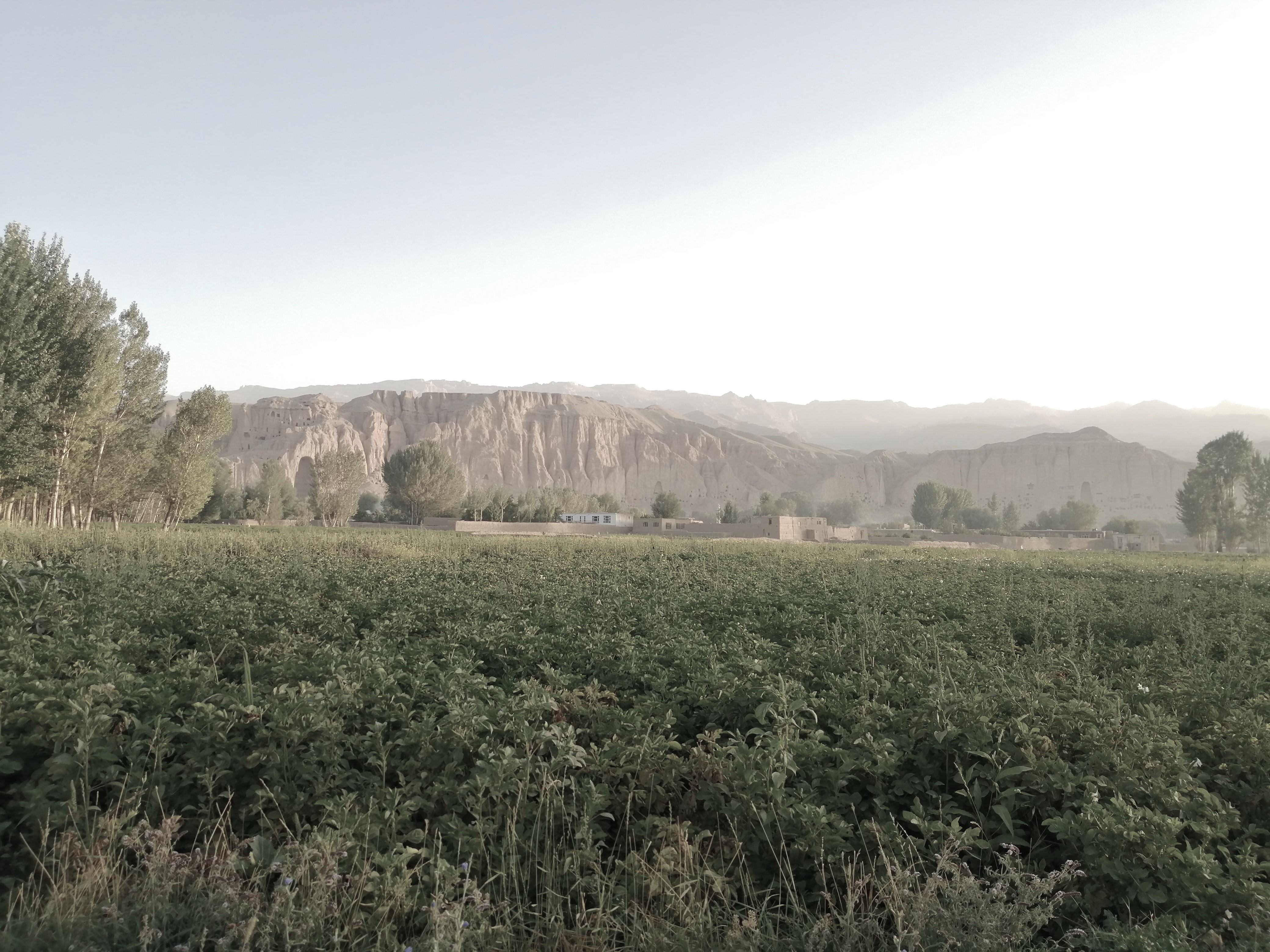 a person standing in front of a building