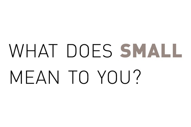 The image displays the text "WHAT DOES SMALL MEAN TO YOU?" in a sans-serif font. The words "SMALL" and "YOU" are in a lighter gray shade, while "WHAT" and "DOES" are in a darker gray. The text is centered on a white background.