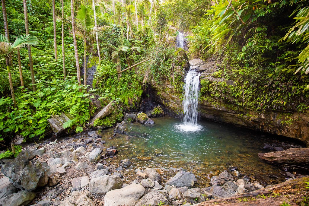 A beutiful waterfall in Puerto Rico