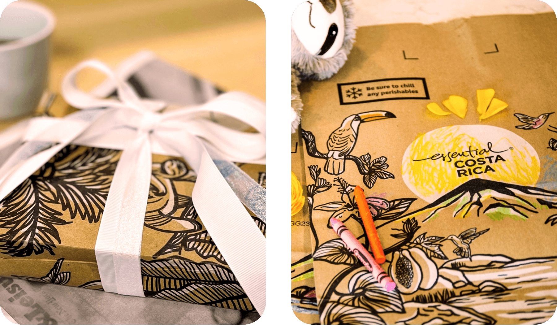Instaoat Sustainable Packaging Innovation