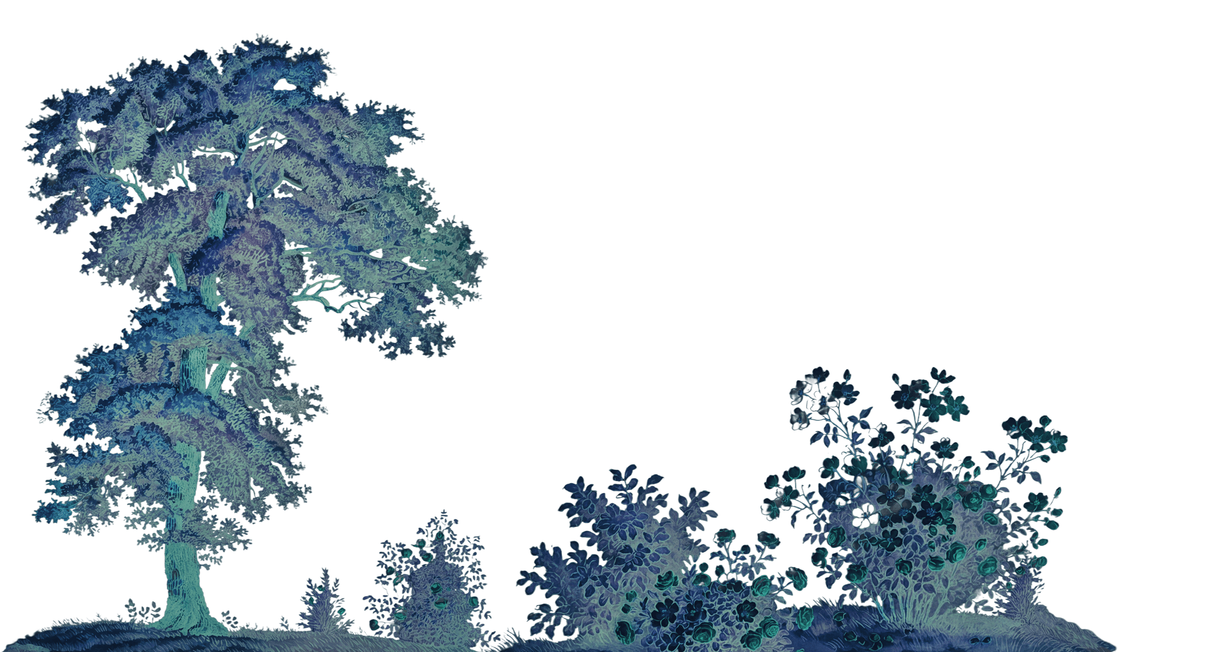 Blue tree background home Florence Beckel