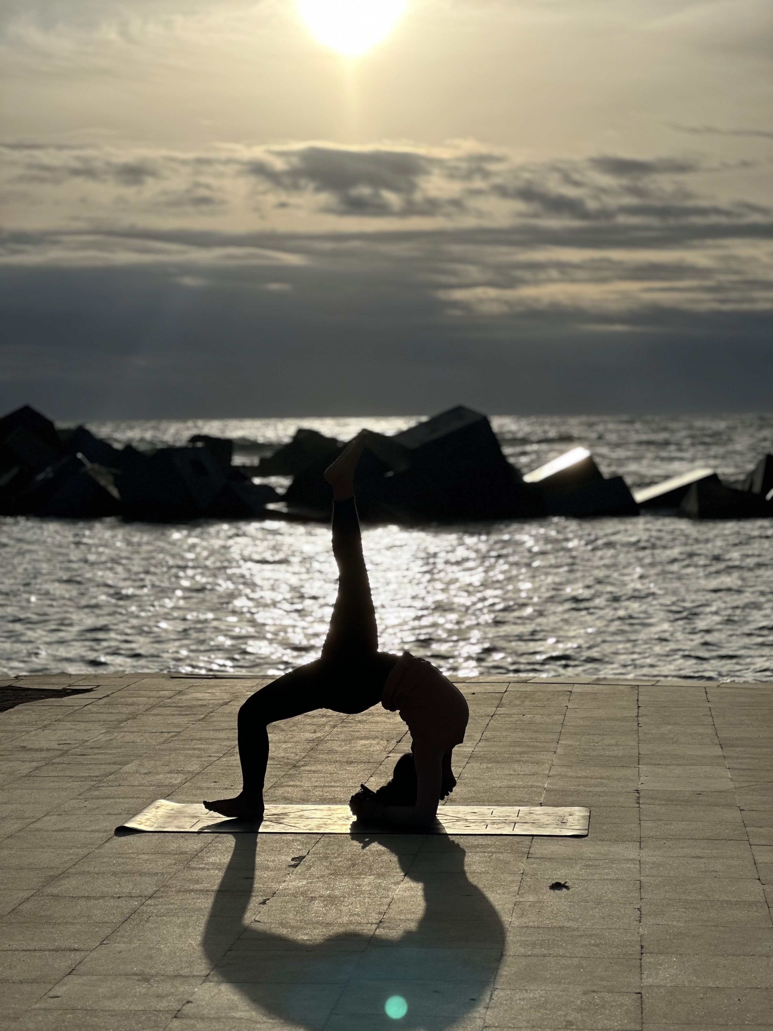 Feedback & Refinement