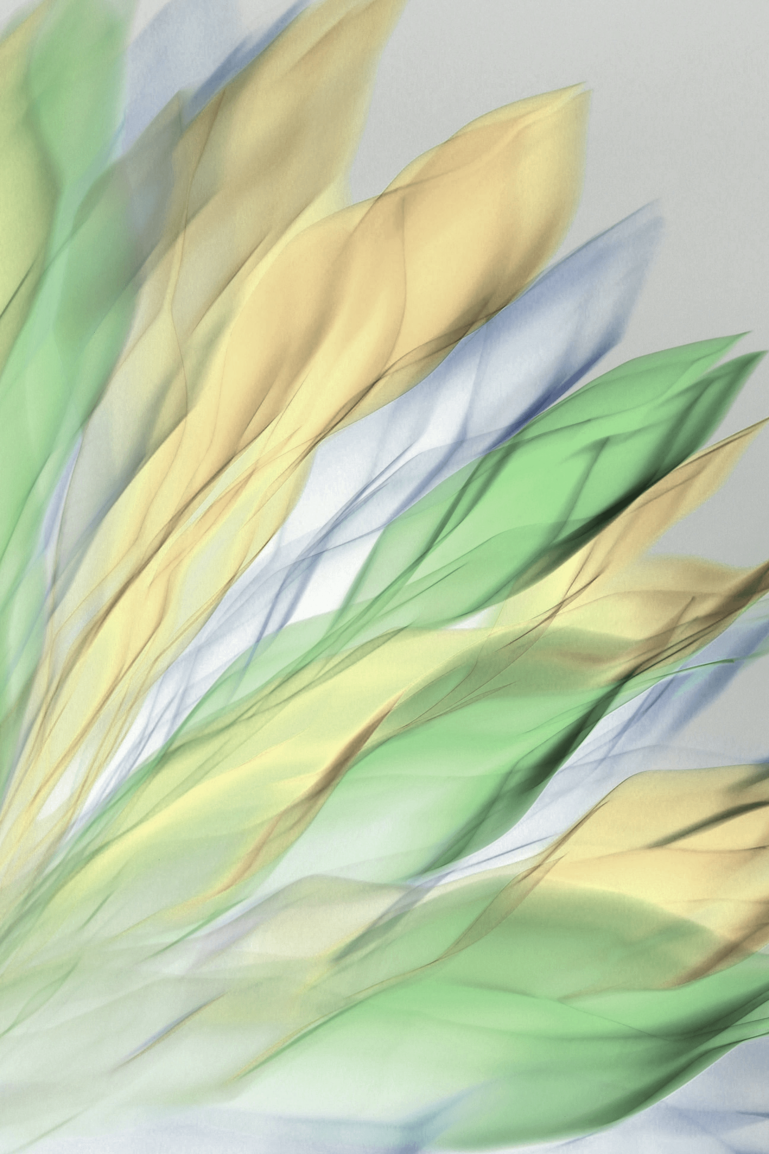 Close-up portrait of a person wearing a gray insulated hooded jacket with the hood up, showing their face framed by the hood against a light background.