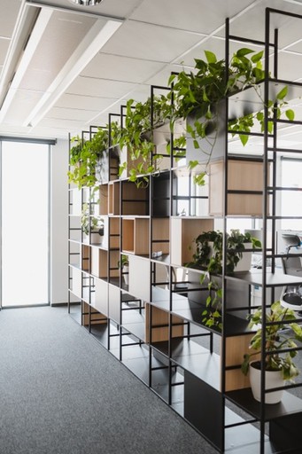 realizacja jednego projektu roślin w korporacji